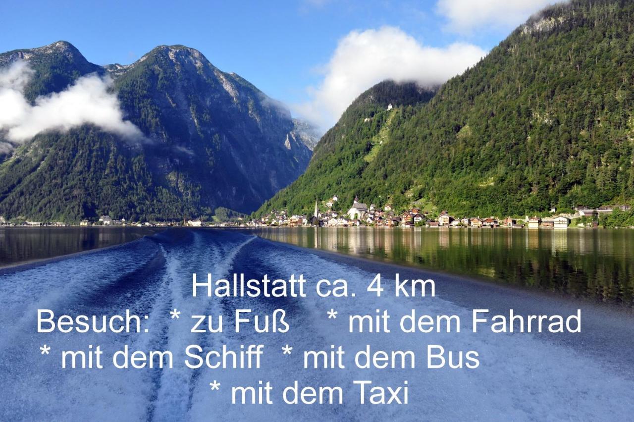 Апартаменты Haus Alpenblick Обертраун Экстерьер фото