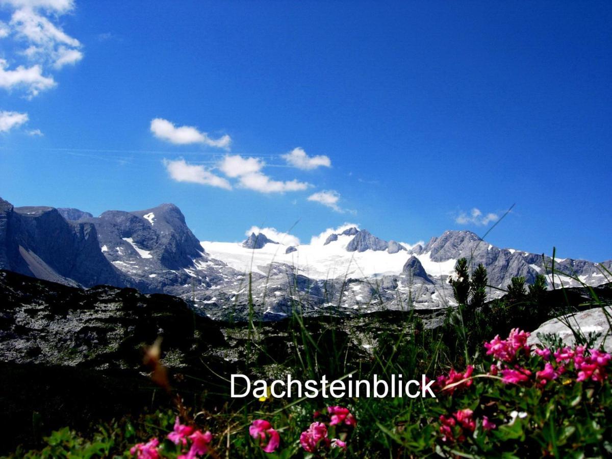Апартаменты Haus Alpenblick Обертраун Экстерьер фото