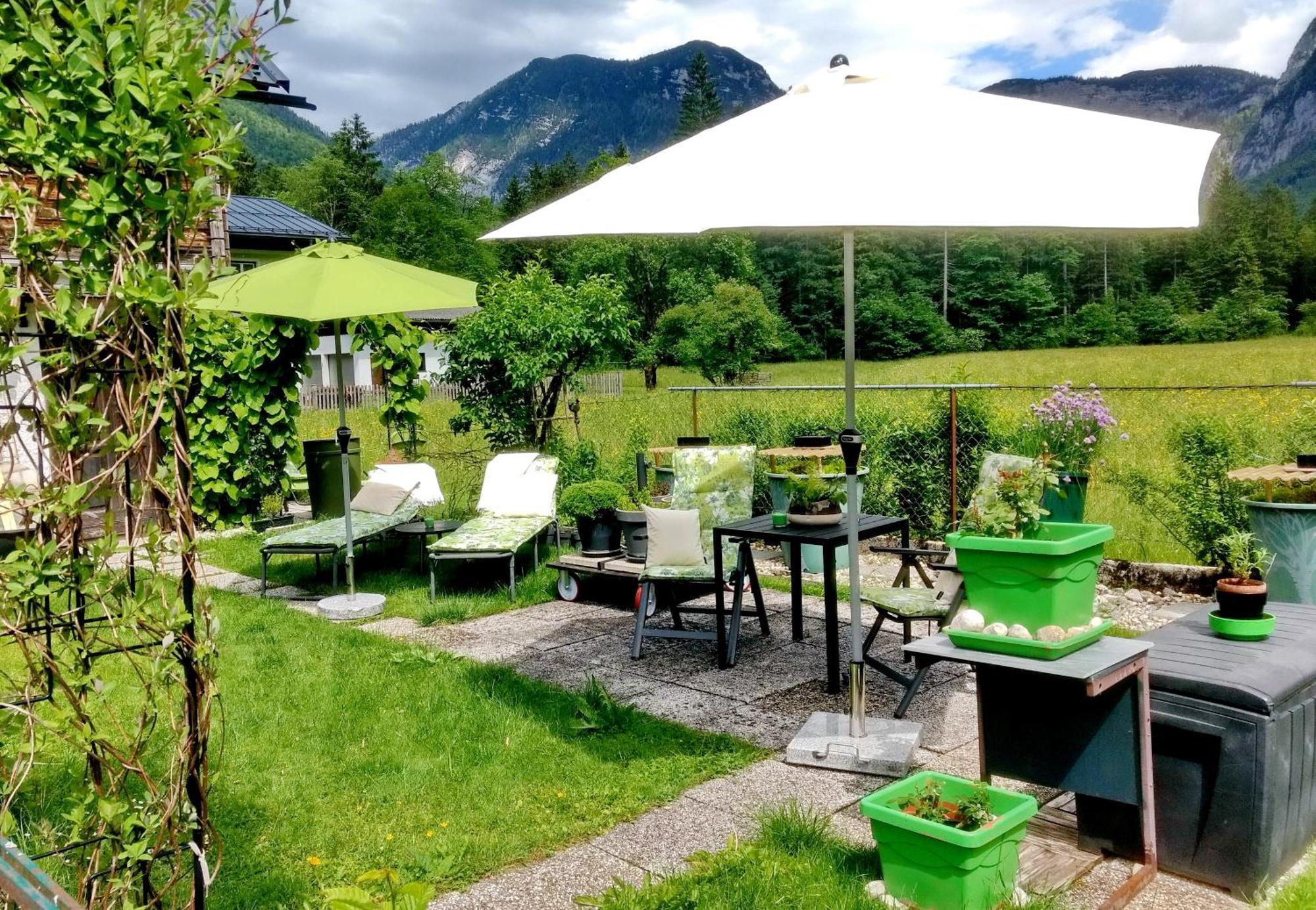 Апартаменты Haus Alpenblick Обертраун Экстерьер фото