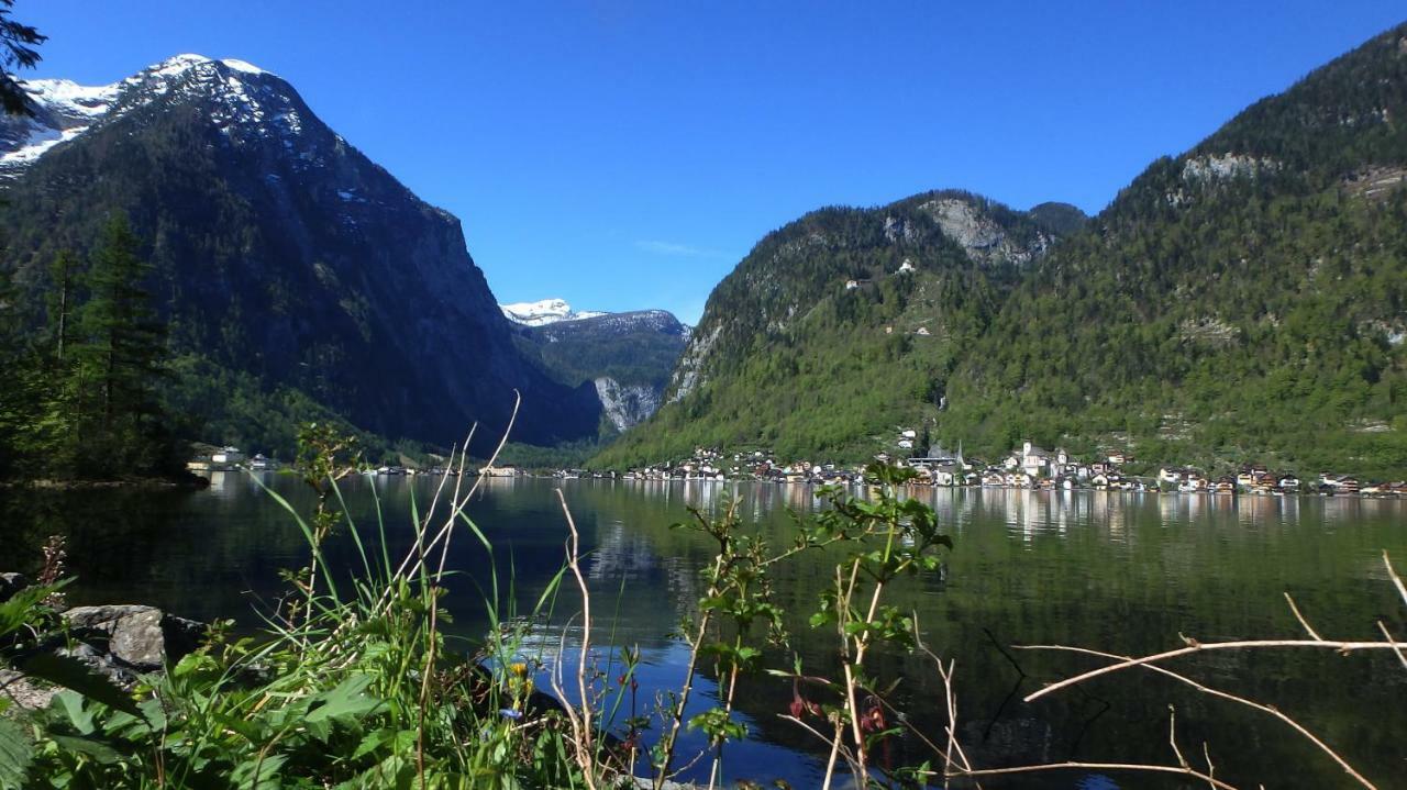 Апартаменты Haus Alpenblick Обертраун Экстерьер фото