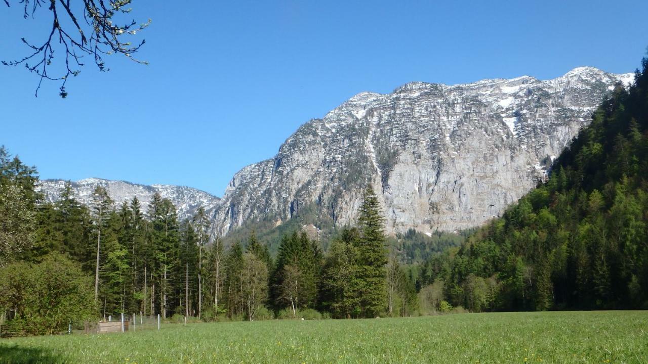 Апартаменты Haus Alpenblick Обертраун Экстерьер фото